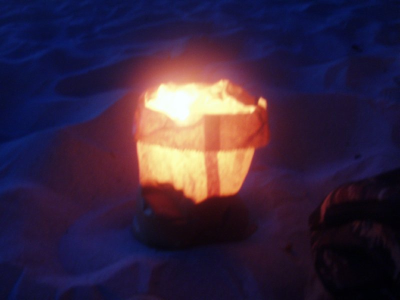 KeHa_in_South_Africa - 258